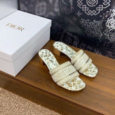 Christian Dior Slippers